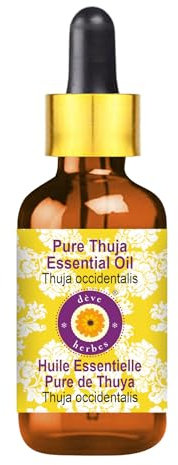 Deve Herbes Pure Thuja Essential Oil (Thuja occidentalis) Non-Sticky | Non-Greasy | Strong Woody Aroma | for Aromatherapy, Massage, Diffuser & Blends 100ml with Glass Dropper