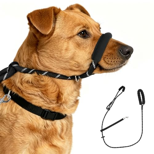 APXEL Laisse Anti-Traction pour Chien, 180*0.8CM Laisse Réglable pour Chien avec Coutures Réfléchissantes et Support de Nez Rembourré, 2 en 1 Harnais Muselière Chiens pour Marche Jogging, Entraînement