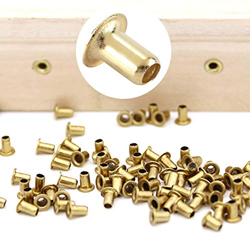 Hztyyier 1000/10000 PCS Strumenti per L'apicoltura Alveare Nido in Ottone Telaio Occhielli Nido per Alveare Apicoltori Strumenti per L'apicoltura (1000 Pezzi) Beekeeping Tools