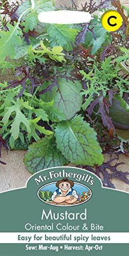 Mr Fothergill's 16955 Vegetable Seeds, Mustard Colour & Bite, Yellow