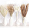 110-Stück getrocknetes Pampasgras Bouquet, Pampasgras mit Bunny-Tails-getrockneten Blumen Boho-Tischdeko,für Hochzeits-Boho-Blumen und Tischdekoration zu Hause