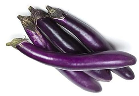 Eggplant Seeds for Planting Vegetables and Fruits-High Yield Eggplants for Home Vegetable Garden & Container Planting.屏东长茄子.Non GMO Heirloom Garden Seeds-50ct Long Ping Tung