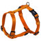 Nobby Geschirr Classic, orange Brust: 50/70 cm, B: 20 mm, 1 Stück
