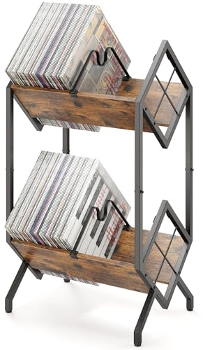 RUILALIFE 2-Tier-Vinyl-Record-Storage-Holder With Dividers, Metal Album storage for vinyl records display Shelf, Vintage 160-200 LP Storage Shelf Stand