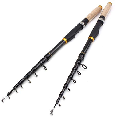 H/A ZYDYZ Canna da Pesca telescopica Multifunzionale, Canna da Pesca in Fibra di Carbonio con Manico in Sughero, Asta di Viaggio Portatile, Accessori da Pesca per Basso 1.8m-3.6m ZYDYZ (Size : 3.0 m)