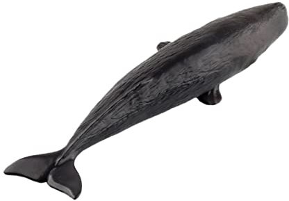 CIYODO 1Stk Lernspielzeug für kinderspielzeug Kid Toys spielsachen für kinderknallzeug Kreatives Toys for Spielzeugtiere für Black