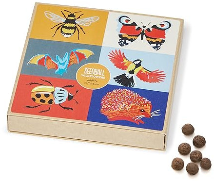 SEEDBALL Wildflower Seed Bombs Wildlife Collection (6 Wildflower Mixes) | Eco Friendly British Wild Flower Seed Balls for Attracting Bees, Butterflies, Birds & Bats - Gardening Gifts for Women & Kids