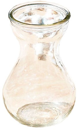 Toruiwa Pot à Fleur Vase en Verre Transparent pour Jacinthes, la Culture des Plantes Hydroponiques