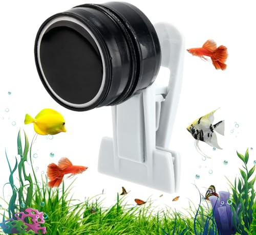 Pince à algues, mangeoire magnétique pour Aquarium, Support de Nourriture Automatique Compact, Tortue Betta, crevettes, Outil d'alimentation Polyvalent en Eau salée et Eau Douce pour Entretien
