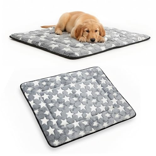 Generico Cuccia Cane Interno Due Facce Cotone e Bambù 75×55 cm – Tappeto per Cani Estivo e Invernale Lavabile e Antiscivolo