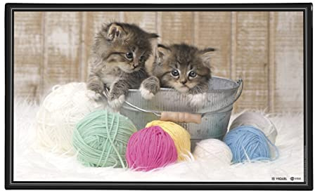 Viquel - Sous main de bureau décoratif chats - Protection de bureau enfant ou adulte chatons - 59,5x36,2cm - Noir