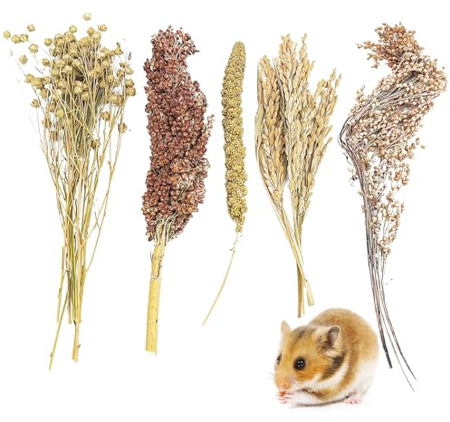 Fhiny Natural Hamster Sprays Edible Hamster Bedding Air-Dried Grain Set for Habitat Decor Mice Cage Accessories for Gerbils Lemmings Parrots Rats and Other Small Animals（0.2lb）