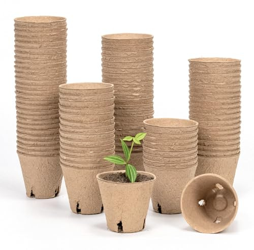 Bamworld 100 Vasetti per Semina Biodegradabili con Drenaggio, 8cm Vasi in Fibra di Carta per Piantine, Ecologici per Coltivazione Indoor e Outdoor, Marrone