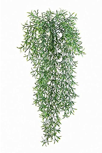 artplants.de Konstgjord aspargus-hängväxt Camilla, grön, 70 cm