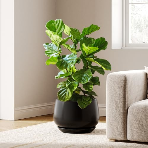 LE TAUCI Keramisk Blomkruka 30 cm, Ytterkruka med Dräneringshål och Fat, Rundad Design, för Monstera, Fikus Lyrata och Hemmet, Svart