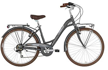 Alpina Bike, Dorothy - Bicicleta de Senderismo de 6 V, Color Gris, 28 Pulgadas, Aluminio