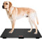 Digital pet scale for dogs, animal scale platform, 3 Weighing Modes, kg, oz, lb, MAX 220 lbs, Capacity with Precision of 10g, 25.6 17.7inch,Black (31.5X 19.7 Inches)