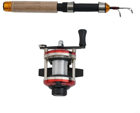 Seasonal Ice Fishing Rod and Reel Set 60cm, 80cm, 100cm Lengths for Your Fishing Needs (Section D)