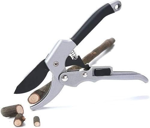 Cesoie da potatura, cesoie da siepe, forbici da giardino, rifiniture for piante, orticoltura, 20 cm, cricchetto, forbici da giardino, mano, incudine, rami, cesoie, taglio, cesoie, arbusti, frutteto