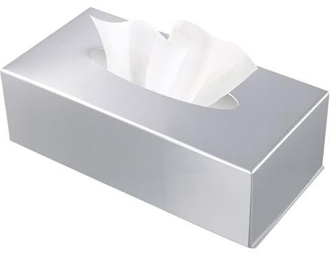 SYUTBOU Caja de pañuelos de acero inoxidable, caja de pañuelos de metal plateado, 23,8 x 12 x 7,4 cm, caja de pañuelos cosméticos rectangular de acero inoxidable para salón, baño