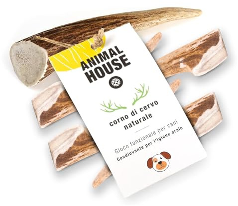 Animal House 5 Pezzi Corna di Cervo per Cani Intere, Masticativo Naturale al 100%, Rafforza Igiene Orale, Resistenti e Duraturi, Disponibili in Tutte le Taglie (5, XS)