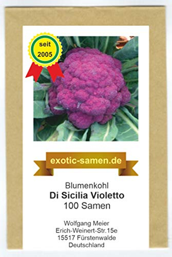 Blumenkohl - violett - schnellwüchsig - Di Sicilia Violetto - ca. 100 Samen