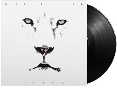 MUSIC ON VINYL