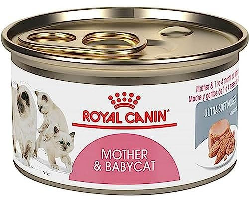 ROYAL FELINE MOTHER BABYCAT CAJA 12X195GR