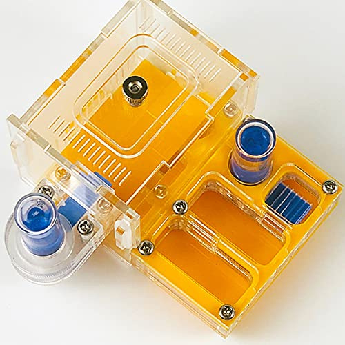 Myrbo, Akryl Myra Ekologisk Insektsvilla Aktivitetslåda Flerfärgad 8x6x6cm(Yellow)