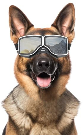 NAMSAN Dog Goggles for Large Dogs, Wide Snout & Soft Frame, Anti-UV Dog Sunglasses Medium to Large Breed, Driving Glasses for Dogs Stick Head Out Car Window, Windproof, Adjustable, Cool Black