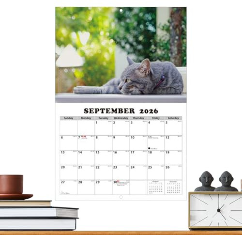 Calendrier mural 2026 motif chat - 13 mois - Pour étudiants, enseignants, consultants, pigistes, maison, école, chambre à coucher, salle de classe, bureau, atelier, dortoir