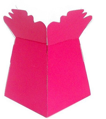 APAC Fuschia Living Vase Flower Box Flower Bouquet Transporter, Sweet Tree Box