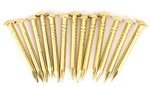 Clou en laiton, clou à tête ronde 100Pcs, meubles en bronze à fonction de fixation forte pour la maison(18mm long)