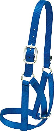 Weaver - Cuero para pájaros, Mujer, 35-8004-BL, Azul, Medium