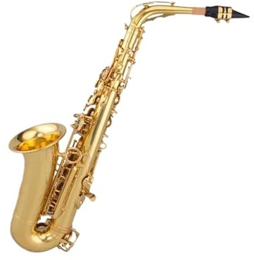 Professionell Saxofon Professionell Altsaxofon I Eb tonart