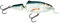 Salmo Frisky Shallow Runner Wobbler 7cm 8g schwimmend, Salmo Farben:Real Dace