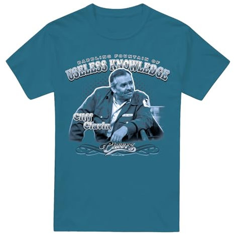 Cotton Soul Cheers Fountain of Knowledge Unisex T Shirt, Slate - Medium