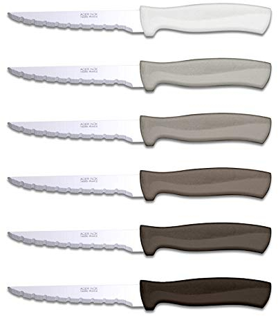 TB Groupe - Set de 6 Couteaux à Steak Record - Lames en Acier INOX - Manches en ABS, Couleurs Assorties - Fabriqués en France - Marron