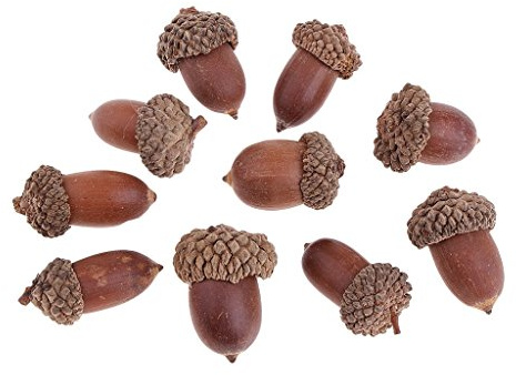 zalati Natürliche Eicheln für getrocknete Tischdekoration, Weihnachten, Heimdekoration, DIY