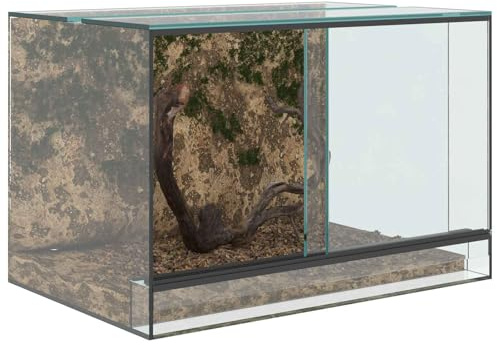 vidaXL Terrarium med lagring Transparent 60 x 40 x 40 cm Glas