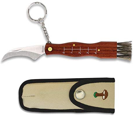 Albainox 10577 - Coltello a funghi mini 6 cm per caccia, pesca, campeggio, outdoor, sopravvivenza e bushcraft + portabottiglie in regalo