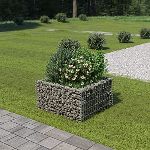 Xichuzi Arriate, Mesa De Cultivo, Huerto Domestico, Cultivo De Plantas Aromaticas, Arriate De Jardín, de gaviones de Acero 90x90x50 cm