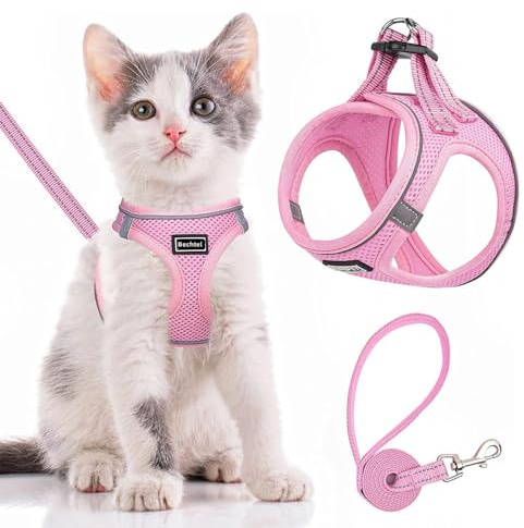 TOEECY Harnais Chien Chat Anti Traction avec Laisse Facile à Mettre Harnais Chiots Rembourré en Mesh Doux Veste Respirant Réglable pour Entraînement Plein Air (Rose-M)
