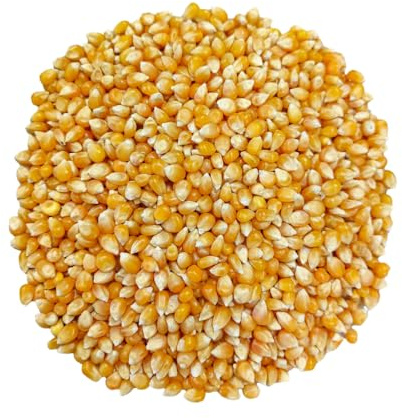 Alicampo Butterfly Popcorn Kernels 20kg – Bulk Non-GMO Popcorn