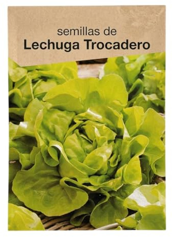 Huerto Doméstico con Lechuga Trocadero – Semillas DECOALIVE para Producción Continua