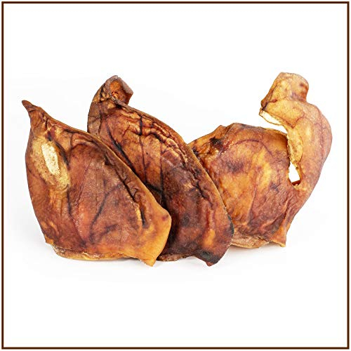 Schweineohren 400g der Premium Kausnack für Ihren Hund | 100% Schwein aus Deutscher Herstellung | im geruchsneutralen Beutel | Kauartikel von PrideDogs