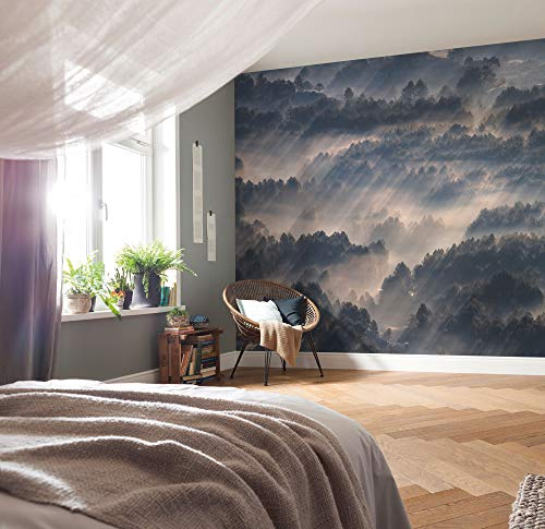 Komar Vlies Fototapete - Rays - Größe 300 x 250 cm (Breite x Höhe) - Wand Tapete Wohnzimmer Schlafzimmer Büro Flur Wald Bäume Nebel Dekoration Wandbild - P029-VD3