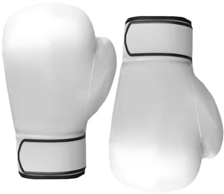 Boxningssäck handskar - boxningshandskar | kickboxning | lätt finger finger | sparring stansbitar | Focus Pads Mitt för Muay Thai MMA, herr fem