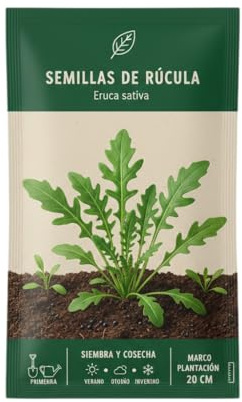 Semillas de Rúcula para Jardín Doméstico – Planta de Hoja Verde DECOALIVE