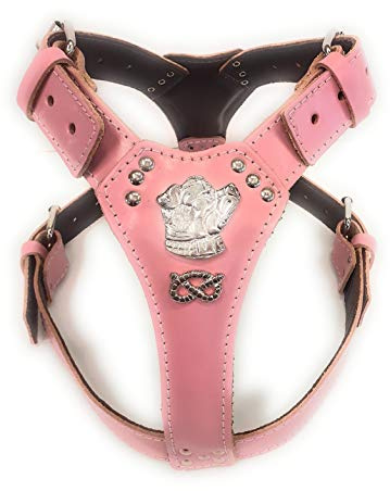 Hermoso arnés de cuero rosa bebé para perro, grande, con diseño de cabeza de Bullterrier de Staffordshire y nudo